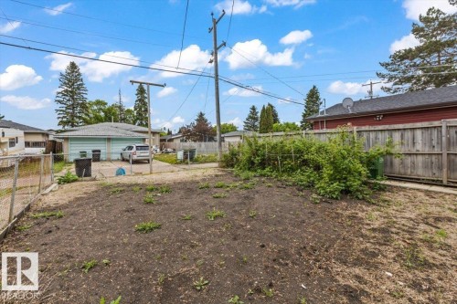Expansive rear yard featuring a chain-link fence, wood privacy fence, and mature foliage - 12923 113A Street, Edmonton, AB 