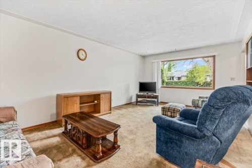 Living area with plush carpet flooring, white walls, and a large picture window - 12923 113A Street, Edmonton, AB 