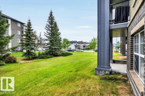 Expansive green space featuring evergreen trees and shrubbery, bordered by a brick-clad building with white-framed windows and an upper-level balcony - 116 630 Mcallister Loop, Edmonton, AB 