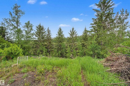 Expansive lot featuring natural landscaping, mature evergreen trees, and verdant foliage - 337 Smith Crescent, Rural Parkland County, AB 