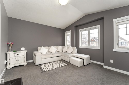 Living area featuring vaulted ceilings, grey wall finishes, grey carpet flooring, white trim, and multiple windows - 115 57 Street, Edmonton, AB 