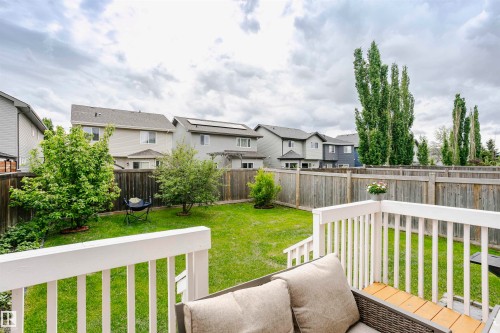 Spacious backyard featuring a manicured lawn, established perimeter trees, and a privacy fence - 115 57 Street, Edmonton, AB 