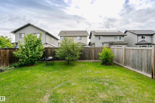 Expansive green lawn surrounded by mature trees and privacy fencing - 115 57 Street, Edmonton, AB 