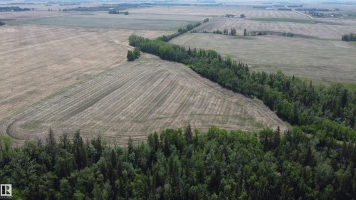 Expansive agricultural land featuring cultivated fields and natural tree lines - 6015 200 Street, Edmonton, AB 