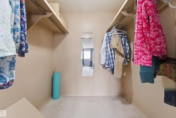 Walk-in closet featuring carpet flooring, built-in shelving, and hanging rods - 