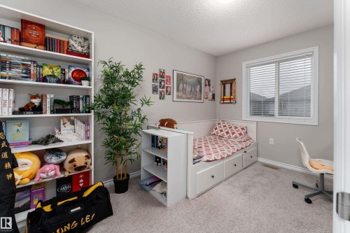 Light gray interior paint with white baseboards and trim - 9468 209 St, Edmonton, AB 
