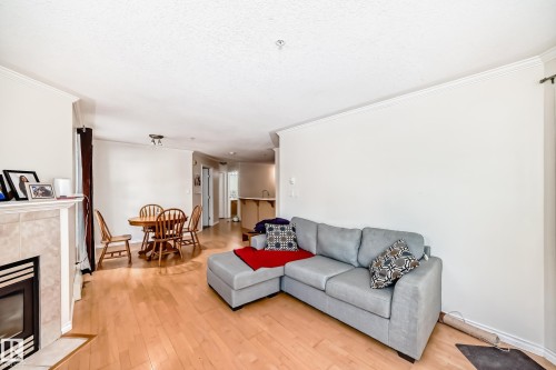 Living area with wood-finish flooring and crown molding - 214 9938 104 Street, Edmonton, AB 