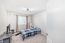 Light-colored carpeted flooring, white walls, and a window with natural light - 