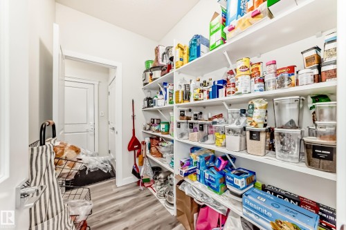 Walk-in pantry featuring expansive white shelving, wood-finish flooring, and white interior doors - 589 Boulder Wynd, Leduc, AB - Indoor With Storage