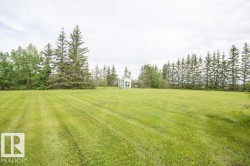 Expansive green lawn with mature evergreen trees bordering the property - 