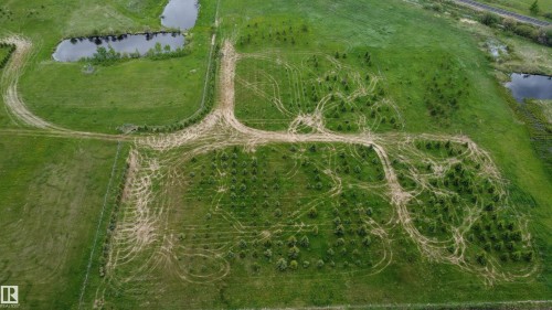 Expansive green acreage featuring a young tree farm, two distinct ponds, and established sandy pathways - 57532 Rg Rd 270, Rural Westlock County, AB 