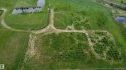 Expansive green acreage featuring a young tree farm, two distinct ponds, and established sandy pathways - 