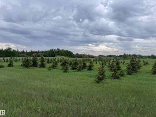 Expansive green field featuring numerous evergreen trees - 57532 Rg Rd 270, Rural Westlock County, AB 