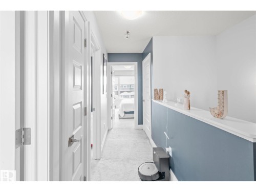 Carpeted hallway with white interior doors, contrasting blue and white painted walls, and a ceiling-mounted light fixture - 389 Charlesworth Drive, Edmonton, AB 