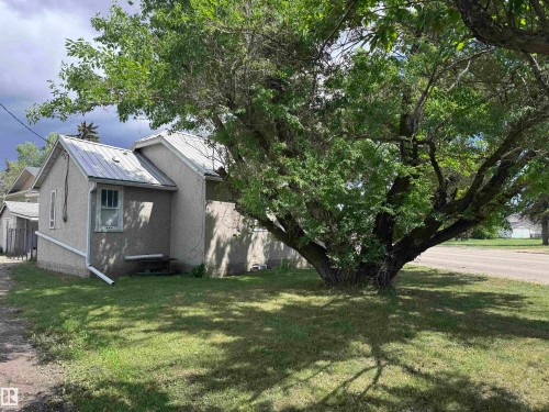 Mature tree providing extensive shade over a grassed area - 9836 100 Street, Westlock, AB 