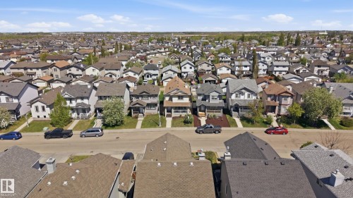 Residential neighborhood featuring a variety of architectural styles, street parking, concrete sidewalks, and mature trees - 11628 167A Avenue, Edmonton, AB - Outdoor With View