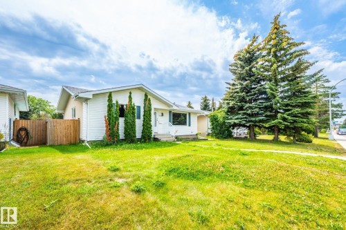 Front exterior showcasing white siding, a prominent front lawn, mature evergreen trees, a concrete walkway, and a wooden fence - 7543 149A Avenue, Edmonton, AB 