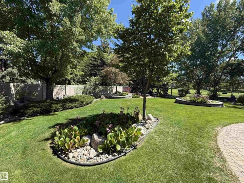 Expansive green lawn with mature trees and landscaped garden beds - 915 Picard Drive Nw, Edmonton, AB 