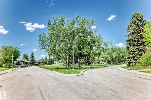 Streetscape featuring mature trees and a paved road with curbs - 6804 102A Avenue, Edmonton, AB 