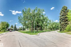 Streetscape featuring mature trees and a paved road with curbs - 