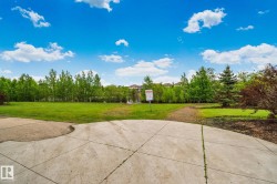 Expansive green space featuring a concrete patio, mature trees, and a distant body of water - 