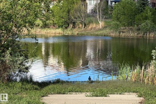 Tranquil pond with surrounding green foliage and natural grass - 217 2588 Anderson Way, Edmonton, AB 