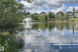 Tranquil waterscape featuring a central fountain - 