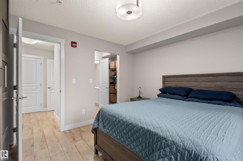 Light wood-finish flooring extends through this room, featuring a wood-panel headboard, a white ceiling with a flush-mount light fixture, and white trim - 210 2229 44 Avenue, Edmonton, AB 