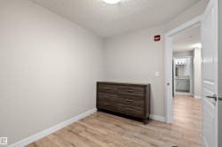 Light wood-finish flooring - 