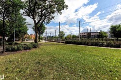 Expansive green space featuring mature trees and shrubbery plantings, with a paved pathway and overhead electrical lines - 
