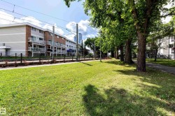 Yard - 