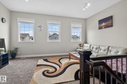 Living space featuring neutral wall paint, textured carpet flooring, and three grid-pattern windows - 