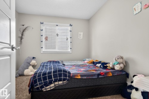 Room featuring light gray walls, textured carpeting, and a window with white blinds - 3350 18B Street, Edmonton, AB 