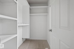 Closet featuring built-in shelving, hanging rods, and neutral carpet flooring - 
