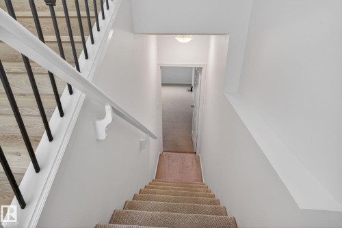 Staircase featuring carpeted treads, a white handrail, and black metal balusters - 3806 Powell Wynd, Edmonton, AB 