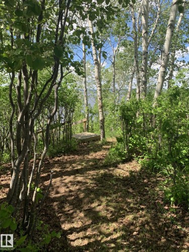 Wooded path leading to a raised wooden platform - #446 67432 Mcgrane Rd, Rural Lac La Biche County, AB 