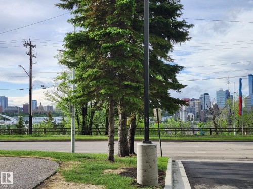 City skyline panorama visible from a street-level vantage point with mature evergreen trees in the foreground - 1600 10149 Saskatchewan Drive, Edmonton, AB 