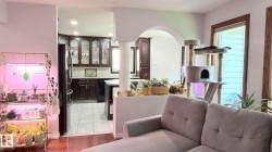 Open-concept living space with dark wood-finish flooring extending into an arched Divided wall breaking up the living room and the kitchen. - 