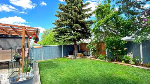 Private backyard featuring a wooden deck with a pergola, a manicured lawn, and mature trees. - 825 112B St, Edmonton, AB 