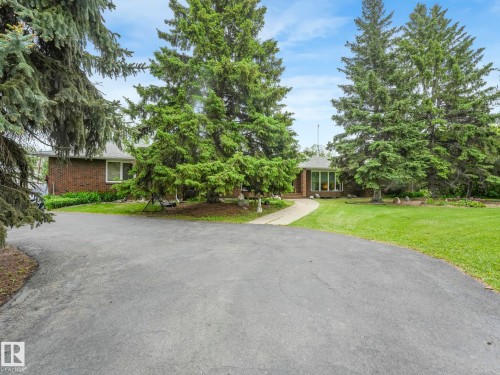 Asphalt driveway, mature evergreen trees, and a curved concrete walkway - 11921 231 Street, Edmonton, AB 