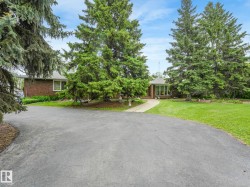 Asphalt driveway, mature evergreen trees, and a curved concrete walkway - 