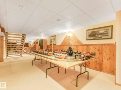 Finished lower level featuring light-toned carpeting and wood paneling - 