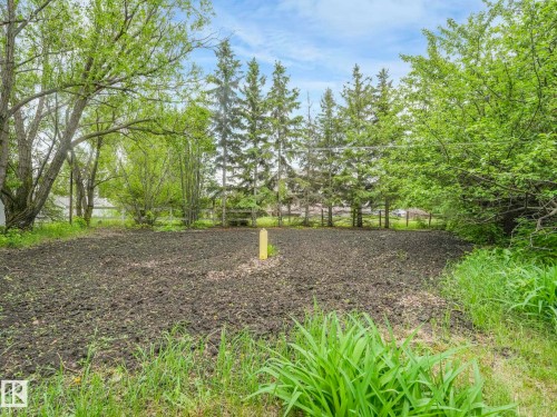 Expansive land parcel featuring cleared earth and mature perimeter trees - 11921 231 Street, Edmonton, AB 