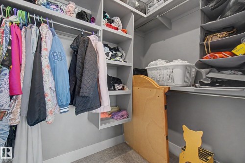 Built-in closet organization system featuring hanging rods, integrated shelving, and carpet flooring - 3036 59 Avenue, Rural Leduc County, AB 