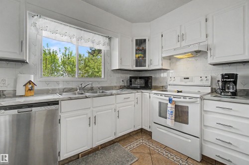 2068 45 Street, Edmonton, AB - Indoor Photo Showing Kitchen With Double Sink