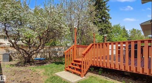 Spacious backyard featuring a large wood deck with stairs, a mature flowering tree, natural wood fencing, and a grassy area - 2068 45 Street, Edmonton, AB - Outdoor With Deck Patio Veranda