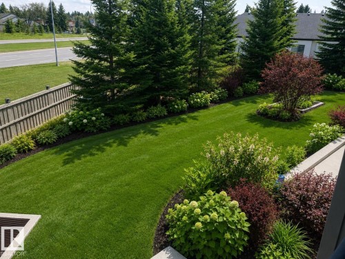 Lush green lawn surrounded by mature trees and varied shrubbery - #206 616 Mcallister Lo Sw, Edmonton, AB - Outdoor