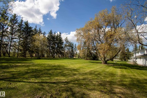 Expansive lawn with mature trees, bordered by a line of evergreen trees - 58124 Secondary 881, Rural St. Paul County, AB - Outdoor