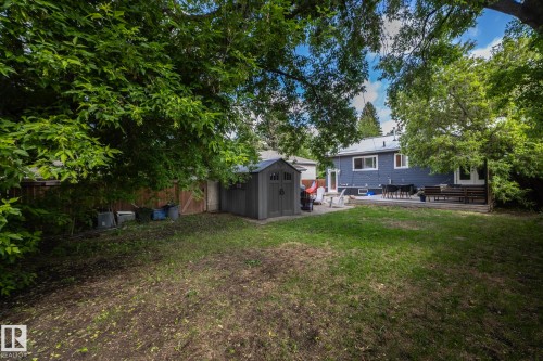 Spacious backyard featuring a large lawn area, mature trees, and a gray storage shed - 7719 86 Avenue, Edmonton, AB 