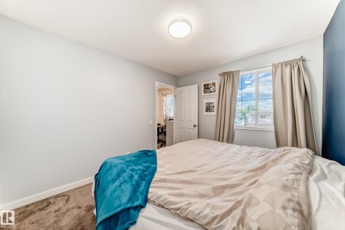 Bright interior room featuring a window with natural light, a textured ceiling, a flush mount ceiling light fixture, and carpet flooring - 13 Orchid Place, St. Albert, AB 